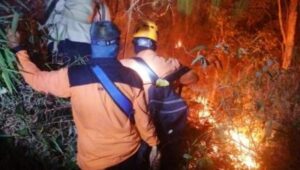 Ratusan Petugas Dikerahkan untuk Memadamkan Kebakaran Hutan di Gunung Ciremai
