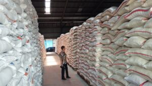 Tekan Dampak Fenomena El Nino, 210 Ribu Ton Beras Disalurkan Setiap Bulan