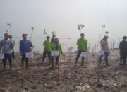 Tanam 1000 Mangrove, DLH Kota Cirebon Percayakan Perawatannya ke Kelompok Tani