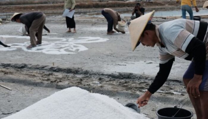 Lukisan Garam Raksasa Hasil Kolaborasi Petani Garam di Rembang