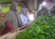DKPPP Kota Cirebon Gencarkan Penanaman Cabai Guna Atasi Lonjakan Harga di HBKN
