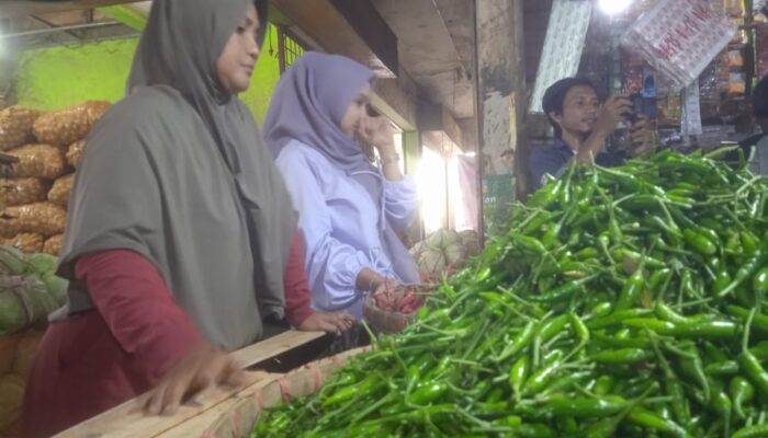 DKPPP Kota Cirebon Gencarkan Penanaman Cabai Guna Atasi Lonjakan Harga di HBKN