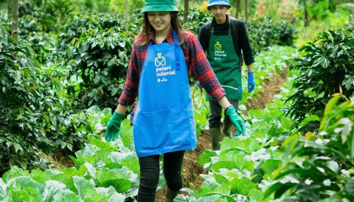 Belasan Ribu Milenial Kabupaten Cirebon Pilih Jadi Petani