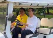 Airlangga Kenalkan Tokoh Muda Golkar pada Jokowi