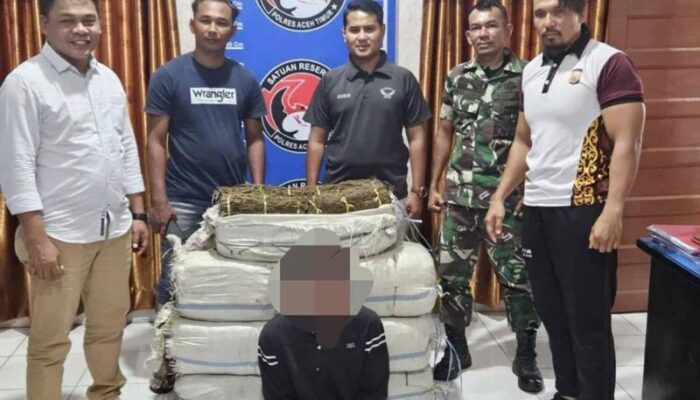 TNI Berhasil Gagalkan Penyeludupan 75 kilogram Ganja di Aceh