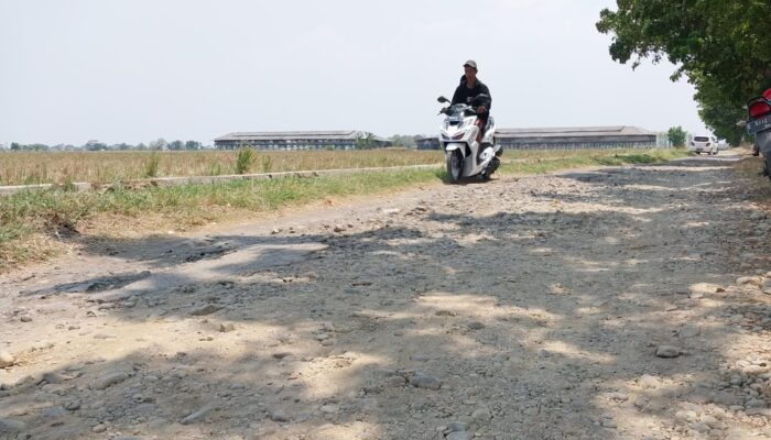 Curah Hujan Mulai Tinggi, Jalan Rusak di Kabupaten Cirebon Ancam Keselamatan Pengendara
