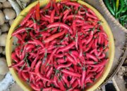 Harga Cabai Merah di Pasar Sumber Cirebon Mencapai Rp 80.000 Per Kilogram