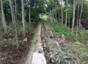 Tanggul Jebol, Warga Desa Jatiseeng Kidul Khawatir Banjir Datang Lagi