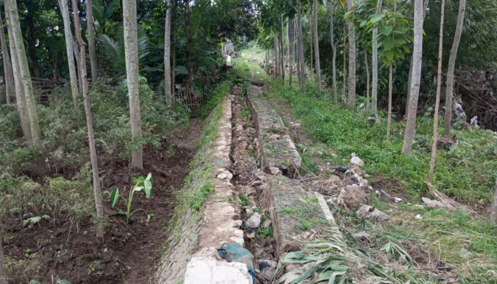 Tanggul Jebol, Warga Desa Jatiseeng Kidul Khawatir Banjir Datang Lagi