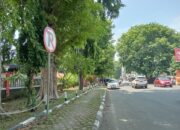 DLH  : Tebang Satu Pohon, Wajib Ganti dengan Sepuluh Pohon