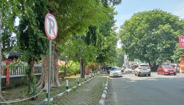 DLH  : Tebang Satu Pohon, Wajib Ganti dengan Sepuluh Pohon