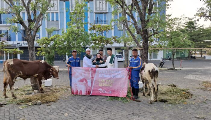 Iduladha 1445 Hijriah, CSB Mall Kurban 2 Ekor Sapi untuk Masyarakat Sekitar