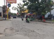 Warga Desa Kaliwulu Hingga Gamel Keluhkan Jalan Rusak