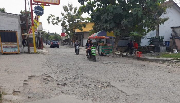 Warga Desa Kaliwulu Hingga Gamel Keluhkan Jalan Rusak
