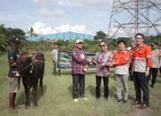 Cirebon Power Bagikan Hewan Kurban untuk Warga Sekitar, 53 Kambing dan 6 Sapi