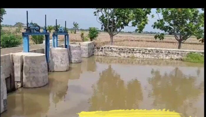 PLN Indramayu Energize PB Sampurna Tani 41,5 kVA Untuk Irigasi Sawah, Menguntungkan Petani