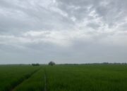 Angin Kencang di Cirebon, BMKG Imbau Hal Berikut