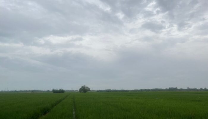 Angin Kencang di Cirebon, BMKG Imbau Hal Berikut