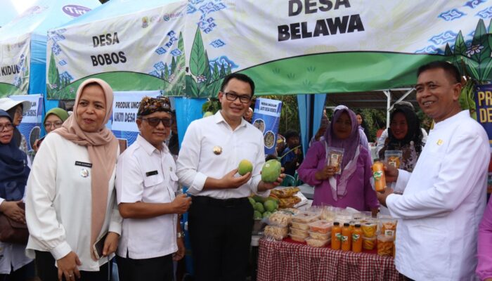 PJ Bupati Cirebon Luncuran Desa Wisata Cikuya