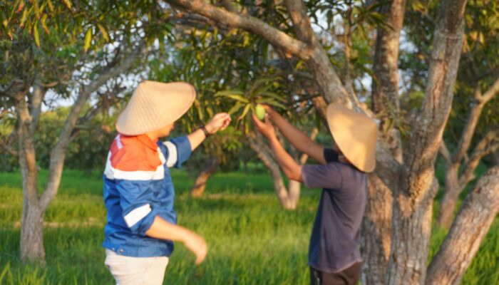 Hadirnya Primadona, Ibu-ibu eks Migran Bisa Mandiri dan Produktif