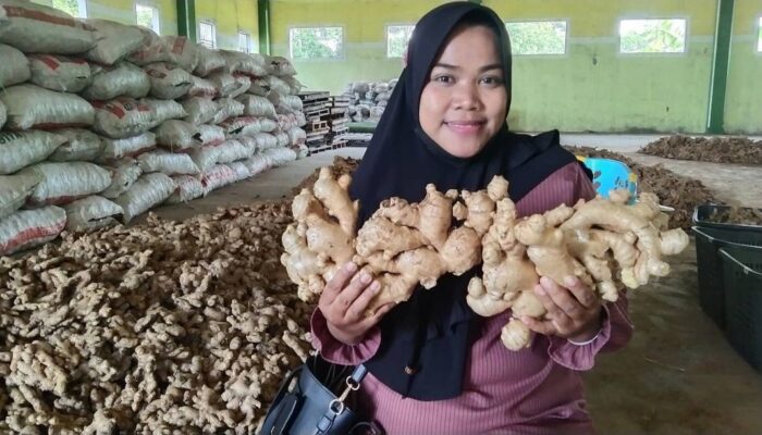 Setelah Go Digital, Kini Nur Atikah Miliki Ratusan Reseller Bahkan Hingga ke Luar Negeri