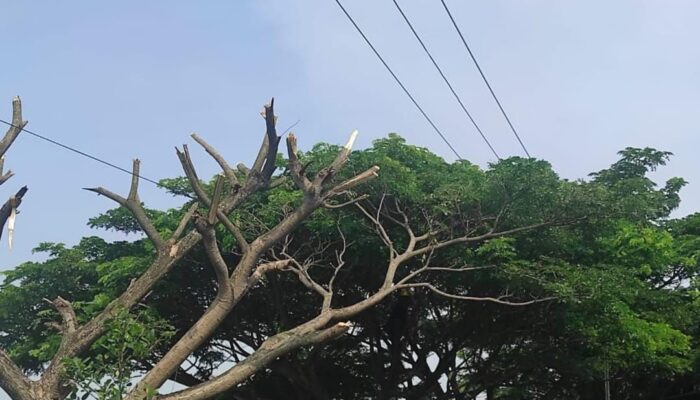 Momen HLN dan Sumpah Pemuda, PLN UP3 Indramayu Sosialisasikan Bahaya Kelistrikan