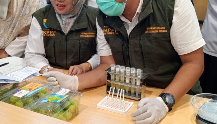DKPPP Kota Cirebon Lakukan Pengujian Anggur Shine Muscat