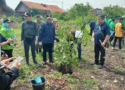 DLH Kota Cirebon Kolaborasi dengan Unhan Tanami Eks TPA Grenjeng