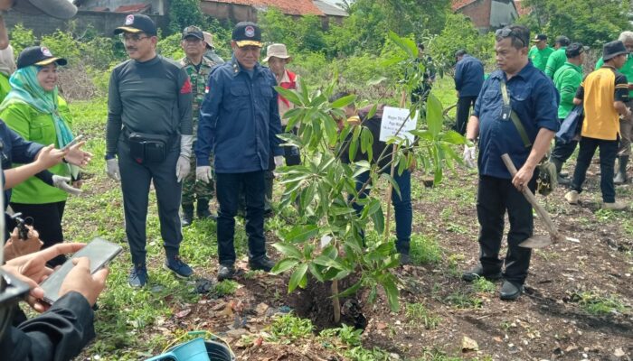 DLH Kota Cirebon Kolaborasi dengan Unhan Tanami Eks TPA Grenjeng