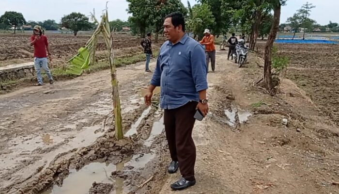 Protes Jalan Rusak, Warga Tanam Pohon Pisang dan Bangun “Kuburan”