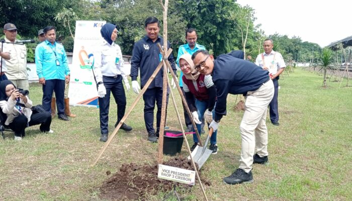 Penghijauan Bertahap Kawasan Stasiun, KAI Daop 3 Cirebon Tanam 200 Pohon 