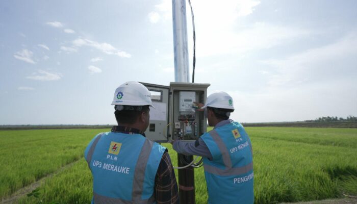 Dukung Tranformasi Pertanian Modern, Electrifying Agriculture PLN Raih 53.539 Pelanggan Baru di Tahun 2024