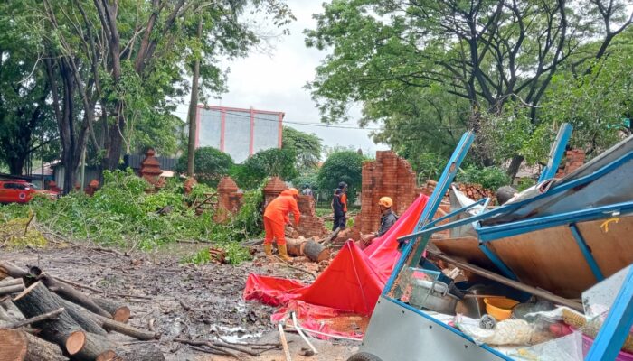 Pohon Tumbang Timpa Pasutri di Depan Gedung Kesenian Rarasantang Kota Cirebon