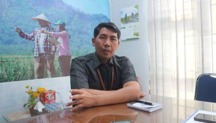 Pengangguran di Kota Cirebon Turun, BPS : Ojol dan Restoran Banyak Serap Tenaga Kerja