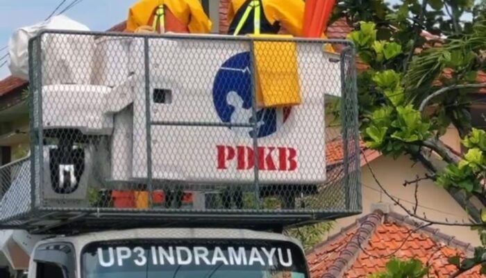 Pemeliharaan Jaringan Tanpa Padam, PDKB PLN UP3 Indramayu Jaga Keandalan Pasokan Listrik Jelang Hari Buruh