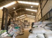 Dukung Electrifying Agriculture Jelang Hari Buruh Internasional, PLN ULP Jatibarang Sukses Energize PT Mitra Bumdes Bersama