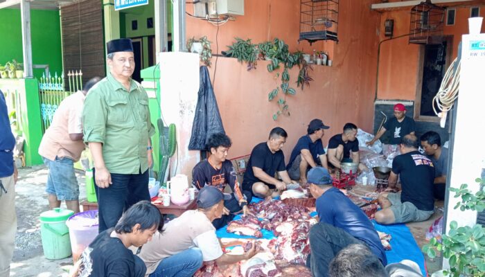 Masjid As Salam Perum Kota Cirebon Kurban Sapi Berbobot 1,1 ton