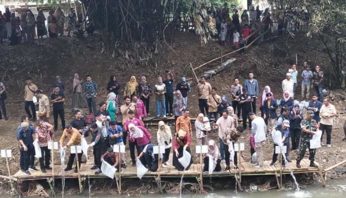 Di Kali Suba Kota Cirebon, DKP3 Tebar Benih Ikan untuk Gemarikan
