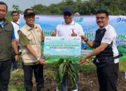 Peringati Hari Lingkungan Hidup, Pelindo dan Pemerintah Kota Cirebon Tanam 575 Pohon