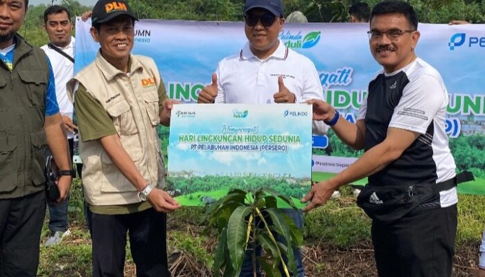 Peringati Hari Lingkungan Hidup, Pelindo dan Pemerintah Kota Cirebon Tanam 575 Pohon