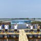 Peringati Pelindo Day, Pelindo Group Kolaborasi Tanam 53.280 Bibit Pohon Mangrove di Indramayu