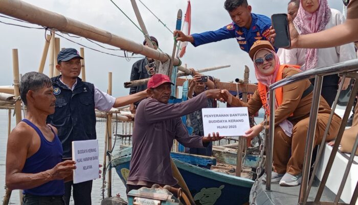 Kota Cirebon Miliki Kerang Hijau Bebas Timbal, Panen Capai 4 Ton