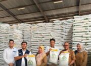 Bulog Cirebon Pastikan Stok Beras Aman Jelang Lebaran 2026, Persediaan Capai 139 Ribu Ton