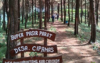 Hidden Gem Cirebon, Buper Pasir Parat Tawarkan Ketenangan di Tengah Hutan Pinus