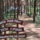 Hidden Gem Cirebon, Buper Pasir Parat Tawarkan Ketenangan di Tengah Hutan Pinus