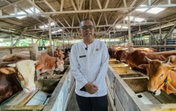Jelang Iduladha, Pemkab Cirebon Periksa Kesehatan Hewan Kurban