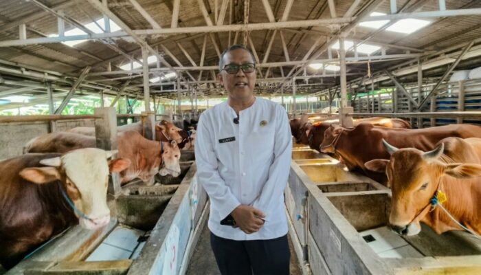 Jelang Iduladha, Pemkab Cirebon Periksa Kesehatan Hewan Kurban