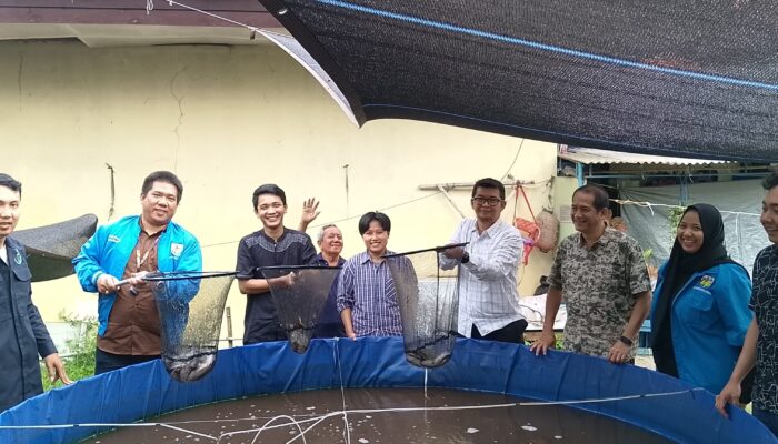 KNPI Kota Cirebon Panen Perdana Ikan Lele, Dorong Kemandirian Pemuda dan Ketahanan Pangan