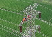 Jaga Stabilitas Listrik Kawasan Industri, PLN Perkuat Ketahanan Transmisi di Tengah Ancaman Cuaca Ekstrem