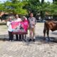 CSB Mall Cirebon Tebar Kepedulian di Iduladha 2026, Salurkan Hewan Kurban untuk Warga Sekitar 